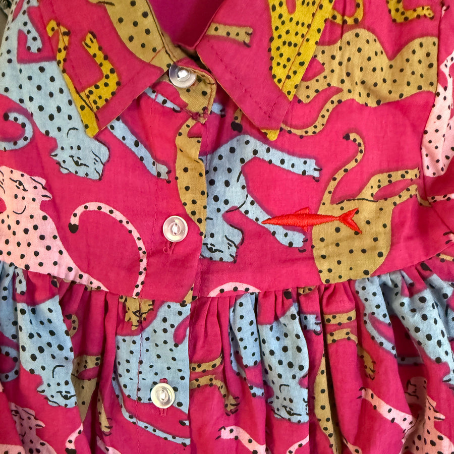 Snapper Shirt Dress